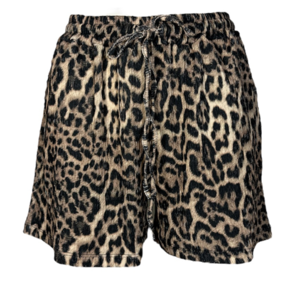 Ambika Short Leo